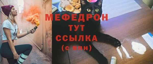 индика Арсеньев