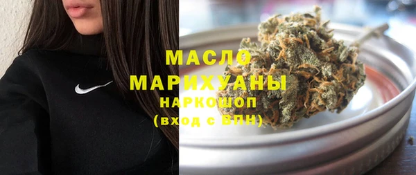 индика Арсеньев