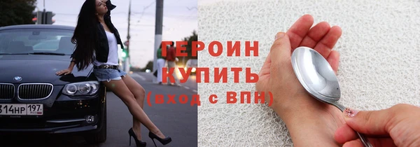 индика Арсеньев