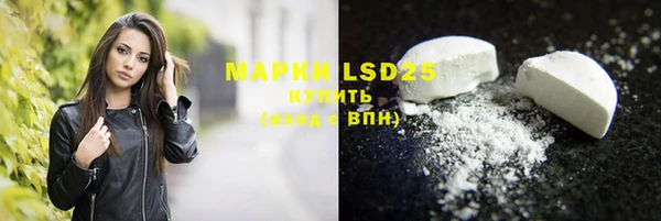 индика Арсеньев