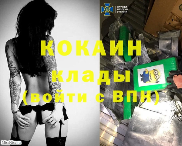 индика Арсеньев