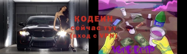 индика Арсеньев