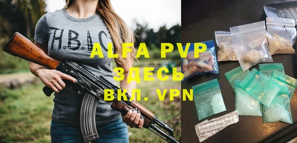 индика Арсеньев