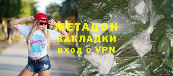 индика Арсеньев