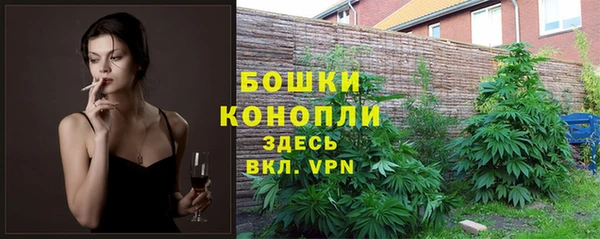 индика Арсеньев