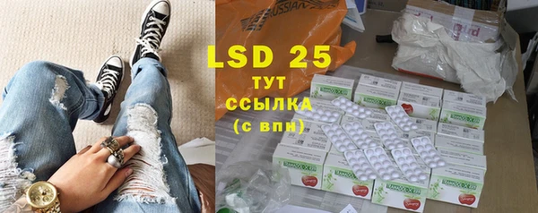 индика Арсеньев