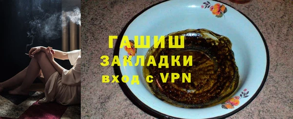 индика Арсеньев